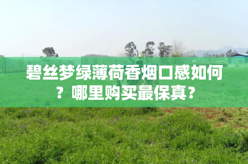 碧丝梦绿薄荷香烟口感如何？哪里购买最保真？